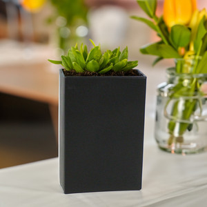 CBR8312BK - แผ่นสี่เหลี่ยมแบนสีดำขนาดใหญ่ - 8x2.5x12 - Product Image 6