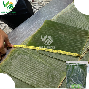 ใบกล้วยแช่แข็งคุณภาพสูงราคาขายส่งพร้อมส่งออกจากเวียดนาม - Product Image 2