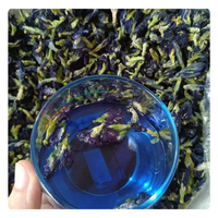 THÉ DE FLEUR DE POIS DE PAPILLON PREMIUM-RECETTE TRADITIONNELLE-MEILLEUR VENDEUR-Commandez en gros auprès de fournisseurs de confiance