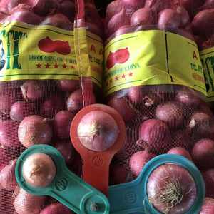 Oignon jaune frais biologique de qualité supérieure, forme ronde, origine Autriche, 25 kg, proposé au prix de gros pour les supermarchés et les fournisseurs alimentaires - Product Image 1