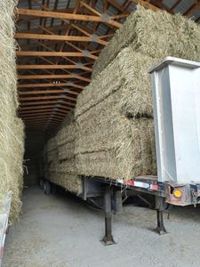 ก้อนหญ้าชนิตที่ผ่านการตรวจสอบอย่างพิถีพิถันโดยปราศจากการประนีประนอมสำหรับอาหารสัตว์ - Product Image 3