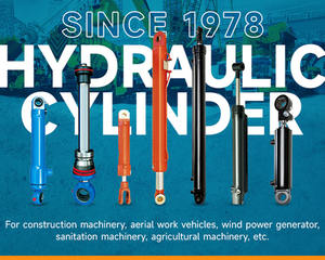 Cylindre de direction hydraulique QJ554.31.020-1 pour tracteur de machine agricole nouvel état avec composants de noyau d'engrenage de moteur de pompe - Product Image 2