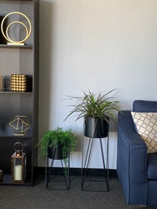 Jardinera de metal negro minimalista moderna pesada de servicio con soporte para sala de estar, oficina y decoración de patio a un precio asequible - Product Image 4