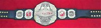Ceinture de champion du monde de la lutte Impact Wrestling, taille adulte, fabriquée en zinc 2 mm