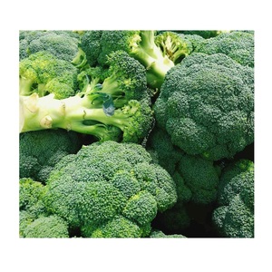 Mejor Precio de Fábrica de Vegetales Frescos |   Brócoli fresco disponible en grandes cantidades - Product Image 5