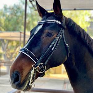 Bride de cheval de conception anatomique Bride en cuir de cheval anatomique - Product Image 4