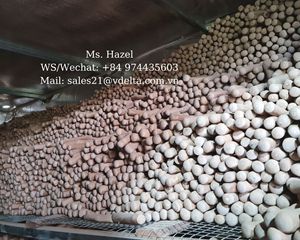 Eliminar el mal aliento Limpieza de dientes de perro Juguetes para masticar mascotas/Juguetes para masticar de madera de café hechos en Vietnam/ Mr.Leo + 84 965 467 267 - Product Image 4