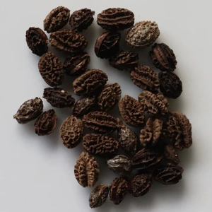 Graines de papaye séchées biologiques et naturelles Valeur Made in Vietnam pour les recettes familiales Produit agricole - Product Image 3