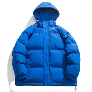 Chaquetas de Invierno Acolchadas con Plumón para Hombre, Cuello Alto, con Capucha y Logotipo Frontal, Envío DDP - Product Image 1