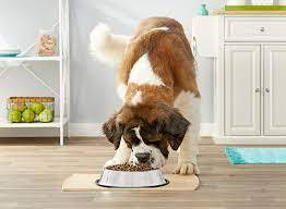 Bol en acier inoxydable durable, bol à mélanger les aliments, vaisselle de cuisine, bol à salade et à fruits, pour la maison et les restaurants - Product Image 4