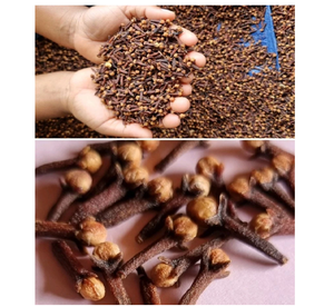 กานพลูทั้งธรรมชาติสำหรับขาย - Product Image 5