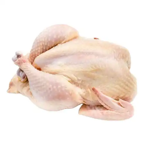 Pollo Entero Congelado Halal al por Mayor de Primera Calidad a Precio Competitivo para Exportación - Product Image 1