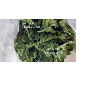 HOJAS DE PAPAYA SECAS DEL MEJOR VENDEDOR, HOJAS DE PAPAYA ORGÁNICAS DE VIETNAM, EL BEST SELLER, EL BEST SELLER, HOJAS DE PAPAYA SECAS, HUELLAS DE PAPAYA ORGÁNICAS DE VIETNAM - Product Image 5