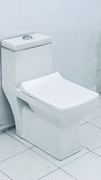 Ensemble WC monobloc blanc au design moderne, à poser au sol, avec cuvette en céramique, abattant en PP et siphon en P
