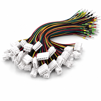 Peralatan Pengujian Otomasi Industri 1.0 1.25 1.5 2.0 2.54 mm 2 3 4 5 6 Pin Perakitan Kabel Perakitan Kawat untuk Perangkat Pengujian