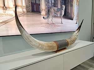 Cabeza de Toro Realista, Impermeable, Hecha a Mano, para Montar en la Pared, para Hogar, Restaurante, Bar, Estilo Moderno, Tradicional, Decoración Rústica - Product Image 5