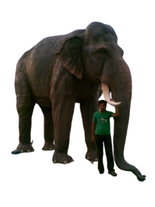 Estatuas de elefante de alta calidad, mezcla de piedra arenisca de mármol, lápida blanca, superficie de estilo occidental, jardín técnico, mano de Color maestro - Product Image 2