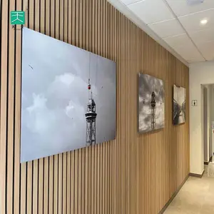 TianGe FoShan eco Polyester Pet Mdf dekorasi dinding 3D akupanel lampu led 2400x600 panel dinding Kayu Slat akustik