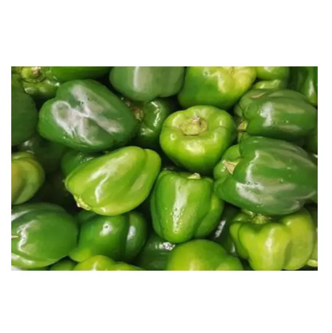 100% prodotto naturale Uzbekistan fresco capsico campana fresca colore dolce pepe giallo rosso pepe verde