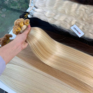 Extensiones de Cabello Vietnamita Virgen Premium de 1 kg, Color Claro, Tono Cálido, Punta Plana de Queratina, Liso para Uso en Salón - Product Image 1