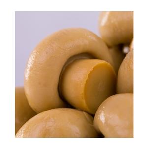 Champiñón enlatado salado entero precios al por mayor mejores marcas - Product Image 4