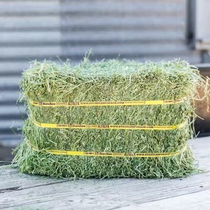 Clean And High Protein Alfalfa Hay With Bulk Packing Alfalfa Hay <b>Dried</b> And Baled For Efficient Feeding - Product Image 5