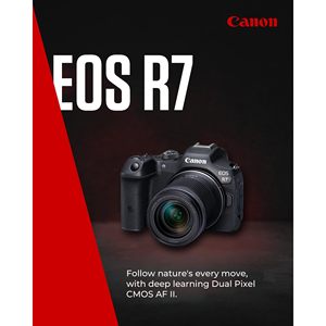 32.5 MP Mirrorless R7 RF-S 18-150mm Lens Body APS-C CMOS Sensor Dual Pixel AF II In-<b>Camera</b> Compositing LCD Touchscreen HD - Product Image 6