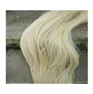 Commercio all'ingrosso in fibra di Sisal per gesso/gesso capelli per la vendita alla rinfusa/tessile Sisal kenya Sisal fibra per la vendita