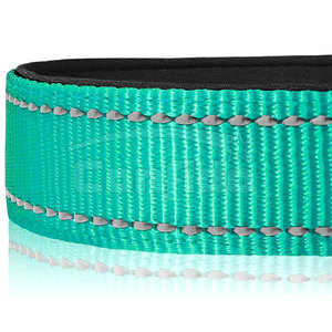 Collier pour animaux de compagnie de qualité supérieure, réglable, rembourré, durable, confortable, adapté aux promenades quotidiennes, à l'entraînement et aux activités de plein air - Product Image 4