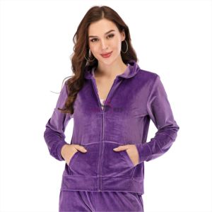Wholesale OEM Custom 100% Cotton <b>Velvet</b> <b>Hoody</b> Plain Chenille Embroidery Slim Fit <b>Velvet</b> <b>Hoodies</b> - Product Image 4