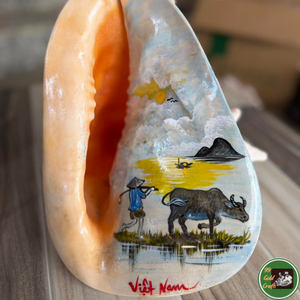 Décoration personnalisée en coquillages, utilisant des coquillages véritables pour l'artisanat décoratif et les souvenirs en provenance du Vietnam - Product Image 2
