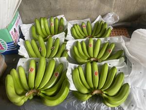 Plátano Cavendish fresco estándar de exportación con cultivo común de calidad superior de Vietnam-Venta caliente 2024 - Product Image 6