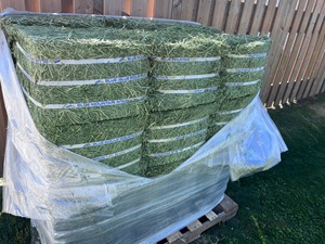 Heno de alfalfa | Heno de alfalfa con alto contenido proteico para alimentación animal - Product Image 2