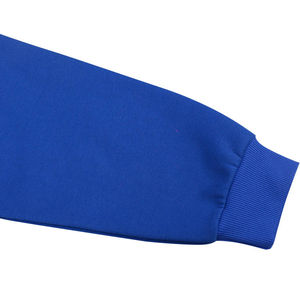 Sweats à capuche pour hommes de qualité supérieure 100% coton Poids lourd Qualité de luxe Impression gonflée Sweats à capuche surdimensionnés Streetwear pour hommes - Product Image 5