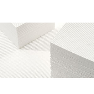 Pâte de bois vierge blanchie pour la fabrication de produits en papier hygiénique, serviettes en papier et essuie-tout - Product Image 2