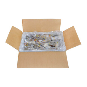 Mariscos Langosta fresca y congelada, Langosta congelada, Colas de langosta congeladas - Product Image 4