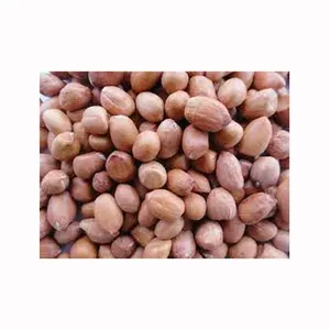 Pure Origin Bold Peanut Kernel 100% Organic Ground Nuts Raw Peanut Compre a preço acessível