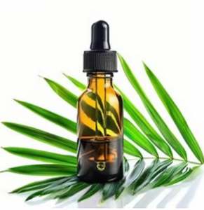 น้ำมันซาวพาล์มเมตโต วัตถุดิบอาหารเสริม ความต้องการสูง ผู้จัดจำหน่ายจำนวนมากในราคาที่ไม่สามารถต่อรองได้ โดยผู้จัดจำหน่ายจากอินเดีย - Product Image 4