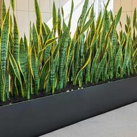 Serpent artificiel plante Sansevieria avec pot noir grandes plantes de faux bureau pour intérieur maison bureau décoration plante tropicale aloès