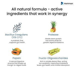 แผ่นใยอาหารเพื่อสุขภาพที่มีโปรไบโอติกและพรีไบโอติกเพื่อการย่อยอาหารและสุขภาพลำไส้ - Product Image 3