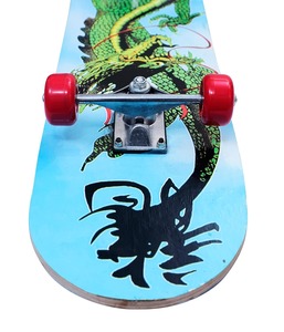 Patineta de Madera, Tabla de Arce Resistente, Patineta Completa para Principiantes, Niños, Adolescentes y Adultos, Portátil y Ligera - Product Image 4