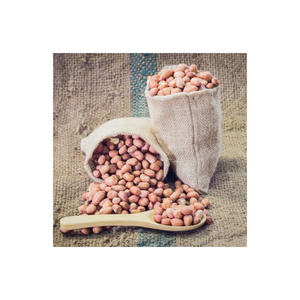 Approvisionnement en vrac d'arachides blanchies biologiques pour les fabricants et exportateurs alimentaires - Product Image 5