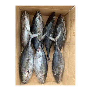 Thon jaune congelé de qualité supérieure, préparé pour les achats en gros, fiabilité garantie - Product Image 6