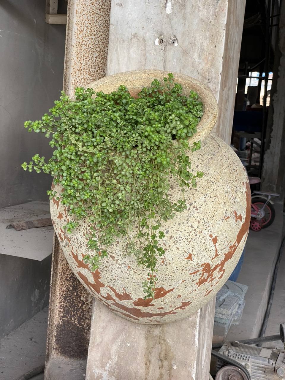 Antique Color as picture