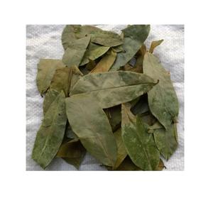 Feuille de corossol naturel séché Emballage 100 grammes/sac sous vide-100% naturel du fournisseur Vietnam-Prix bon marché Feuille de corossol séchée - Product Image 2