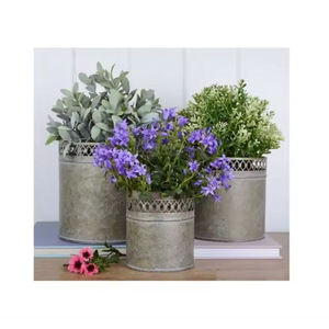 Jardinières décoratives de jardin en métal Jardinières à herbes en pot pour la maison Jardinières décoratives de salon à bas prix - Product Image 4
