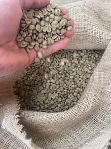 Granos de café Arábica y Robusta naturales de alta calidad 100% Precio procesado verde 100% de Vietnam Bueno para la salud - Product Image 6