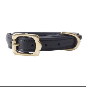 Collier de chien en cuir vert de haute qualité pour lévrier et Whippet - Product Image 2