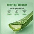 ว้าว สกิน ไซน์ สมุนไพร อโลเวร่า บอดี้ มอยส์เจอร์ไรเซอร์ เจล - Product Image 4