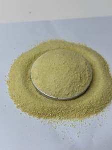 Fertilizante Orgánico en Polvo Amarillo de Aminoácidos, Nutriente de Liberación Rápida para Plantas de Interior y Bonsáis - Product Image 1